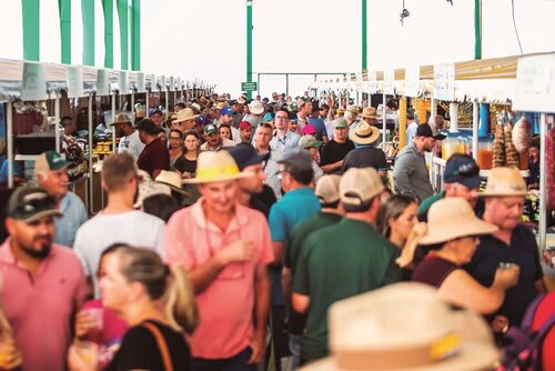 Movimento intenso nos dias de Expodireto (Jackson Ciceri/ExpoRevista)