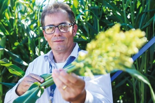 Flávio Tardin, pesquisador da Embrapa Milho e Sorgo, falou de proteção contra o enfezamento no milho. Foto Jackson Ciceri/ExpoRevista.