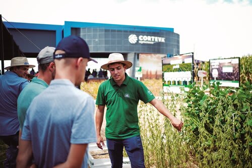 Produtores conferem as variedades da Pioneer levadas à Expodireto (Choks/Divulgação)