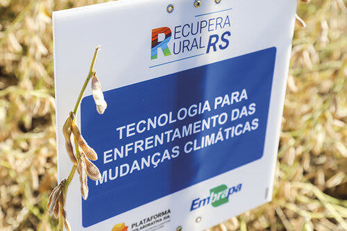 Diagnóstico Rápido da Estrutura do Solo desenvolvido pela Embrapa ajuda no pós- enchente