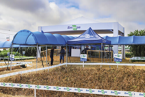 Estande da Embrapa recebeu produtores nos cinco dias de feira
