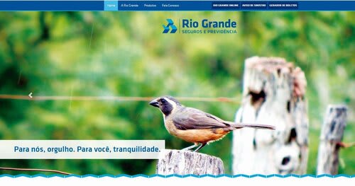 Reprodução do site da Rio Grande Seguros e Previdência