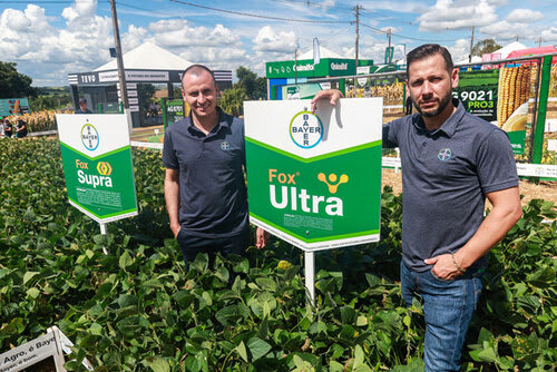 Agrônomo de Desenvolvimento de Mercado da Bayer, Willian Pelisser (à esquerda), destaca soluções para a cultura do sul