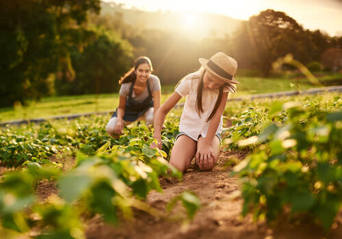 O censo das agroindústrias familiares marca nova etapa para o fortalecimento da agricultura familiar no RS