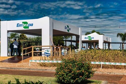 Dados do Plano Recupera Rural RS foram divulgados no estande da Embrapa durante a 26ª Expodireto