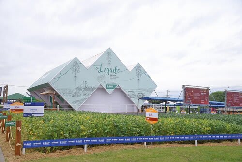 Soluções digitais se juntam aos tradicionais produtos da Basf para fortalecer as lavouras. Foto Choks/Divulgação