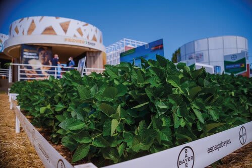 Estande da Monsoy na Expodireto 2022. Foto Choks/Divulgação