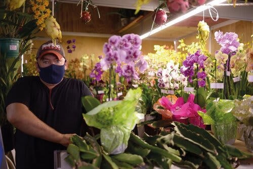 Cleverton Mugnaga, proprietário do Orquidário Pebi. Foto Choks/Divulgação